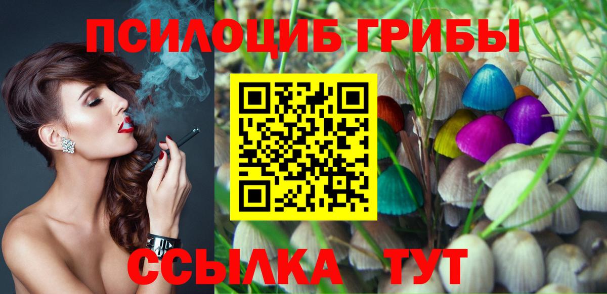 Галлюциногенные грибы MAGIC MUSHROOMS Заинск